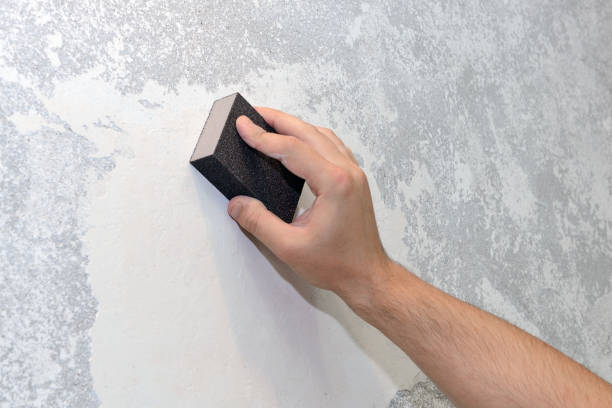 Best Air Quality Testing for Mold Spores  in Westgate, FL