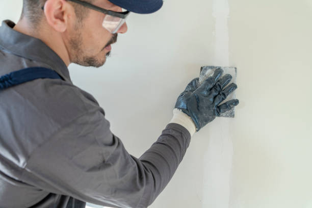 Best Forensic Mold Investigation  in Westgate, FL