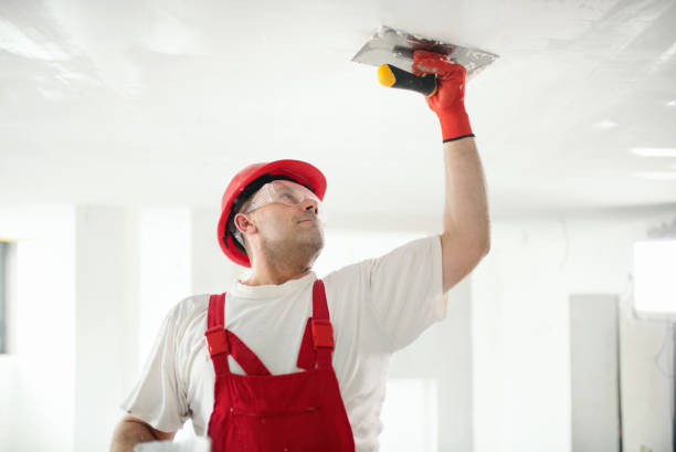 Best Mold Remediation for Healthcare Facilities  in Westgate, FL