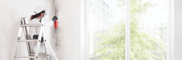 Best Dehumidification Services  in Westgate, FL