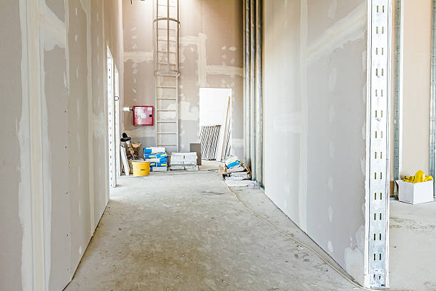 Best Mold Odor Removal Services  in Westgate, FL