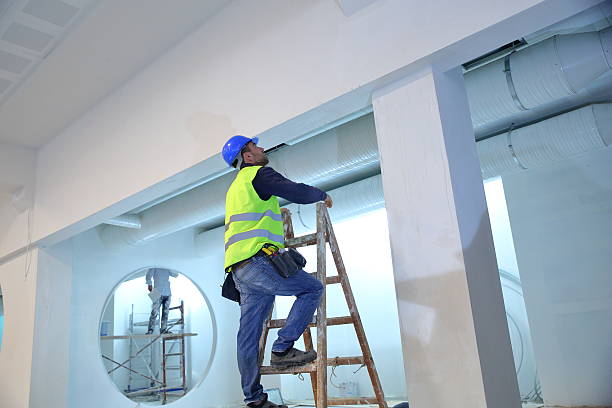 Best Mold Removal for HVAC Installations  in Westgate, FL