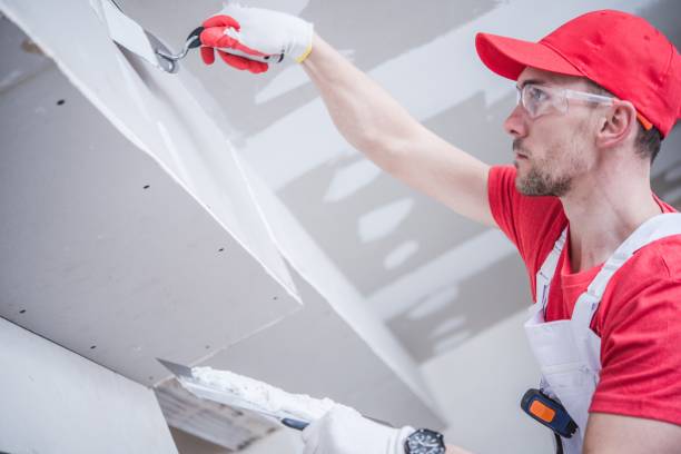 Best Mold Remediation for Rental Properties  in Westgate, FL